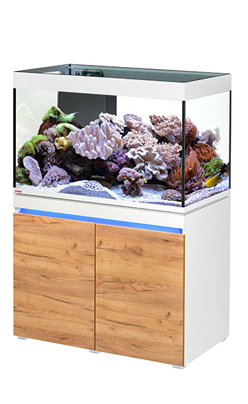 180918100942usIn3CvUAQQO2 Incpiria_330_reef_alpin_nature